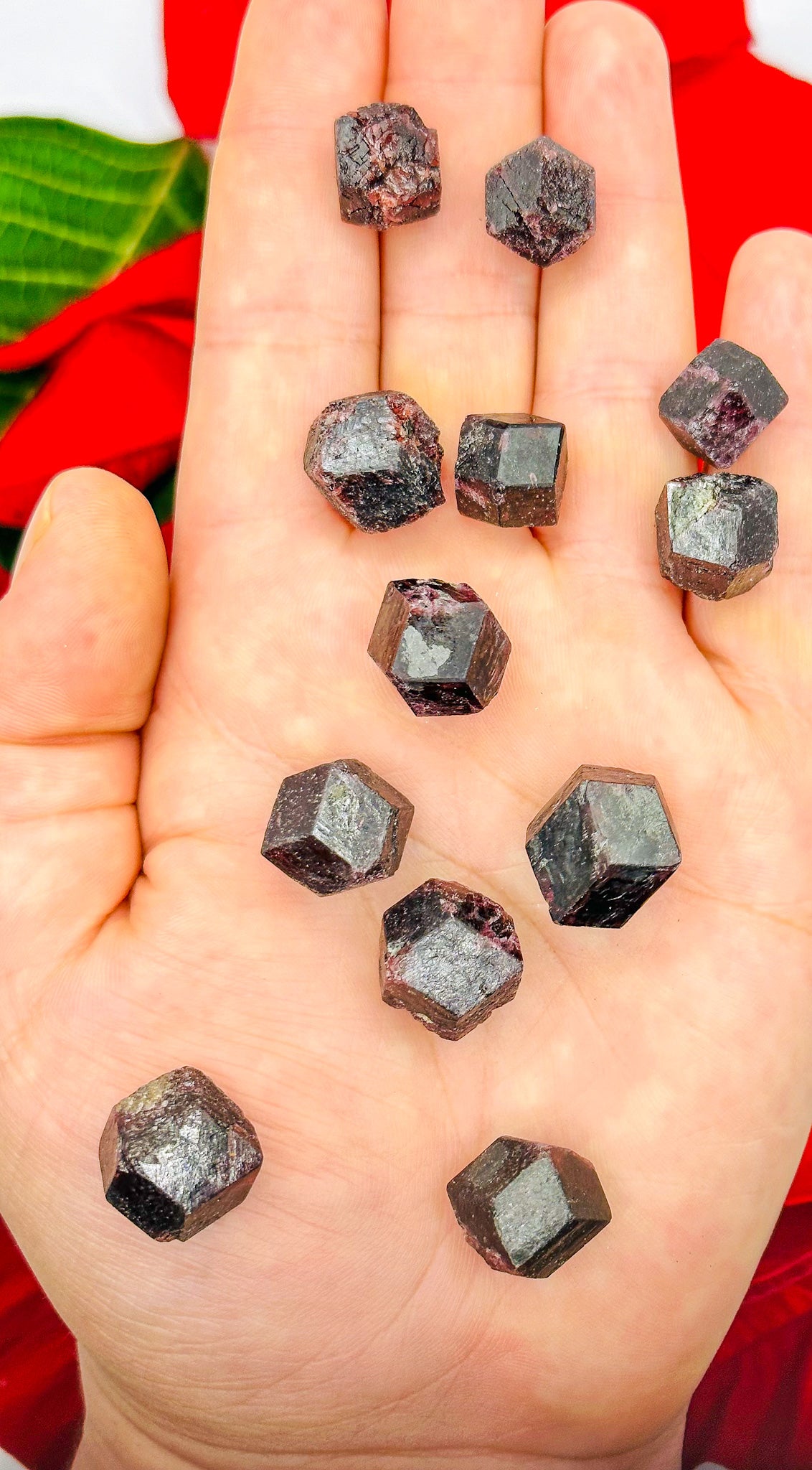 Stunning Raw Garnet Pocket Stones