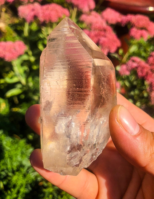 Ancient Lemurian Seed Quartz Raw Point