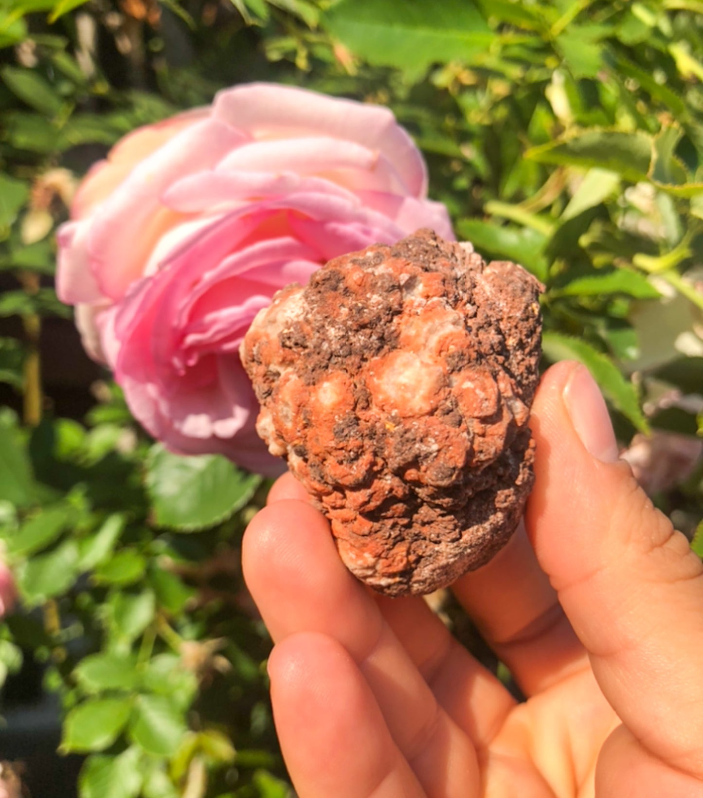 Druzy Raw Pink Amethyst