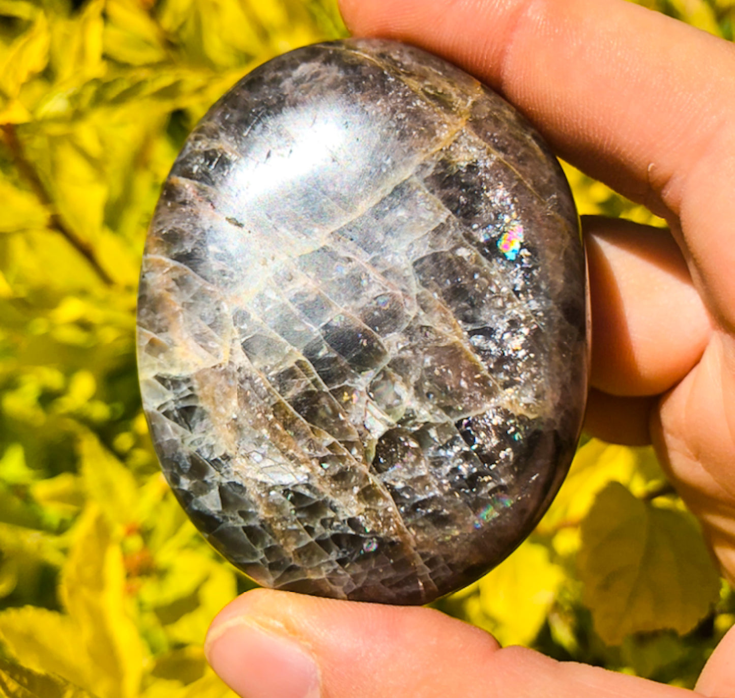 Flashy Black Moonstone Palm Stone (#752)