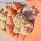 Desert Rose Selenite - Pocket Stone