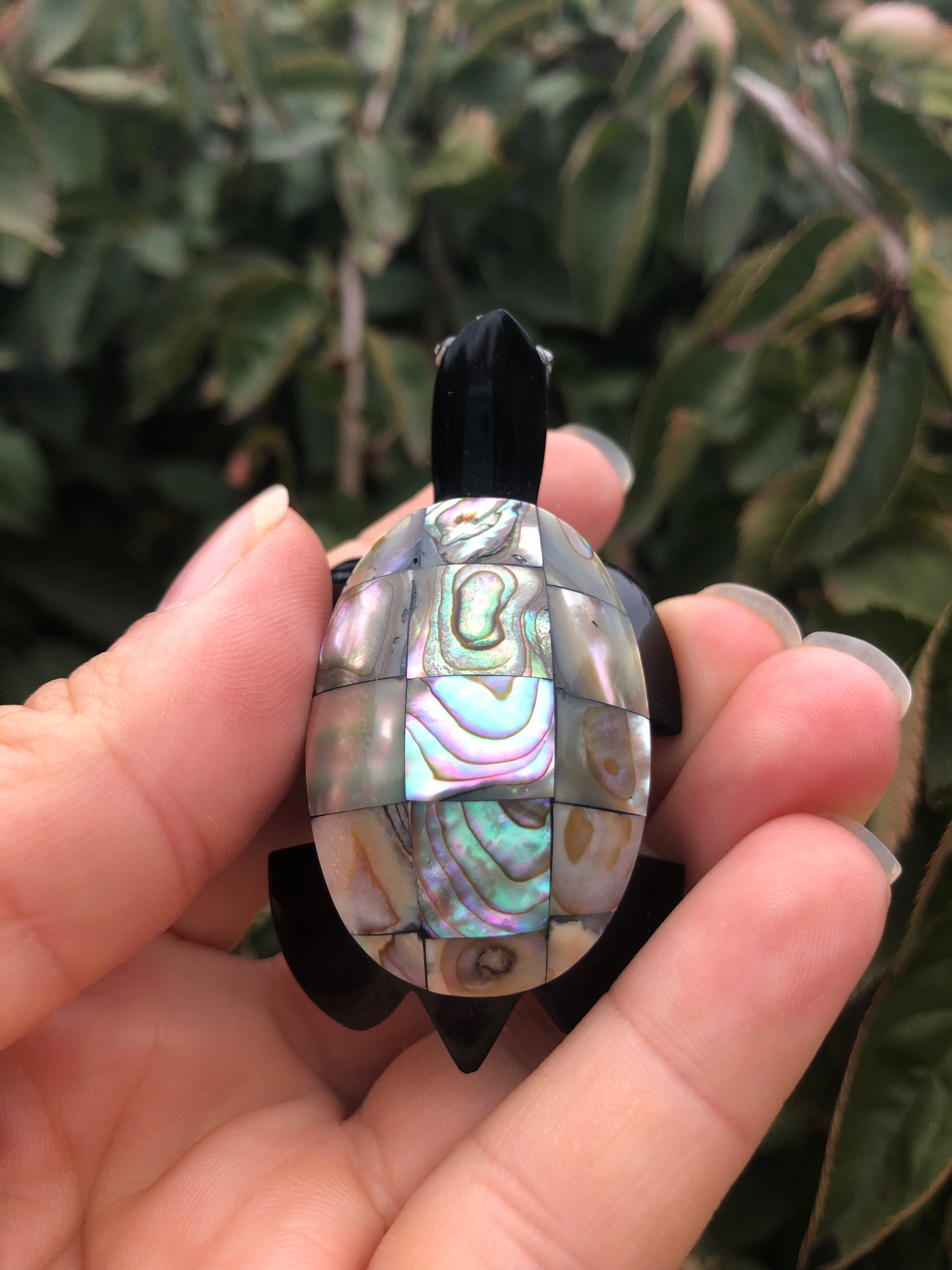 Flashy Abalone Black Obsidian Turtle Carving 289