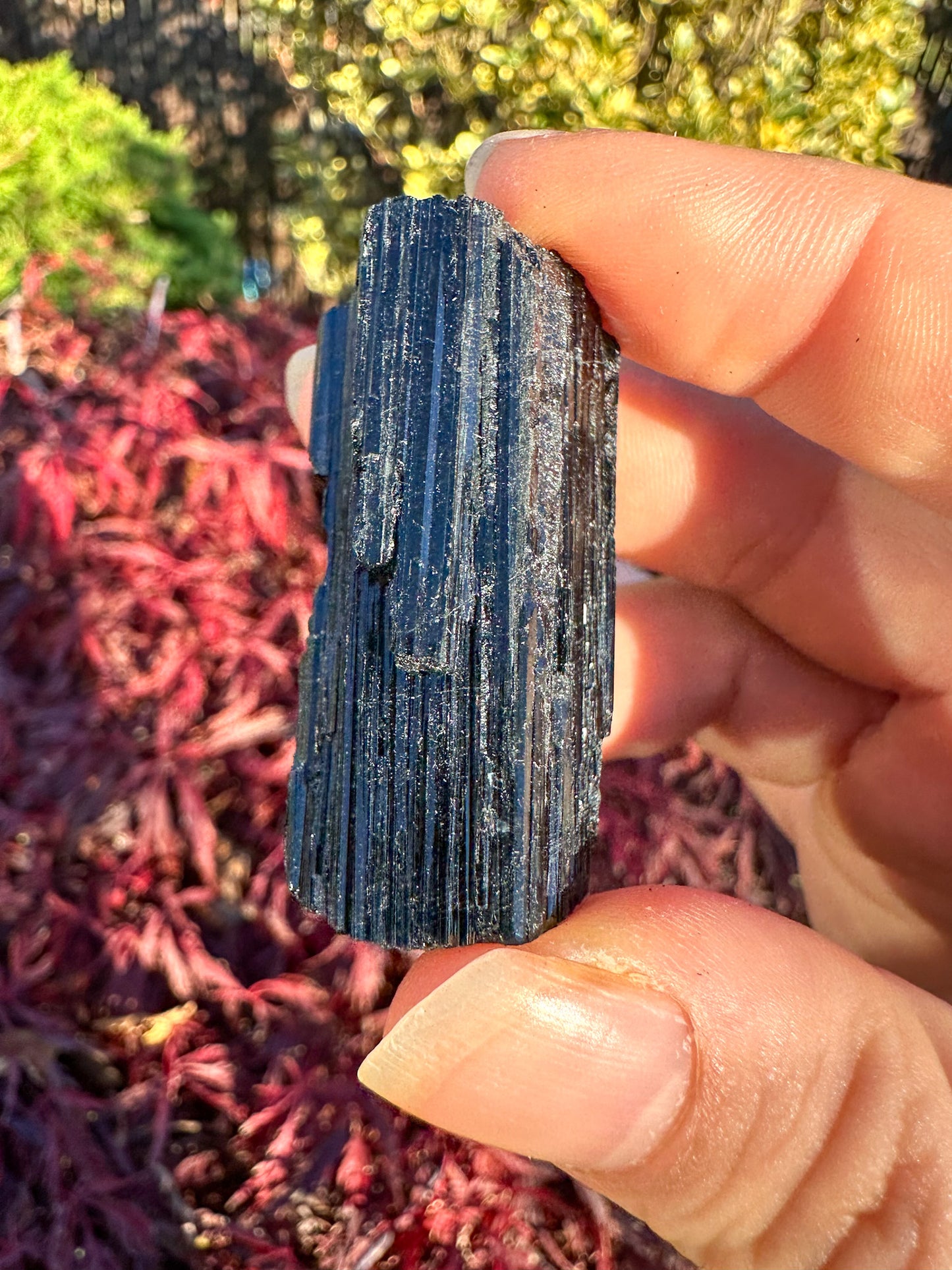 Stunning Raw Black Tourmaline (#1004)