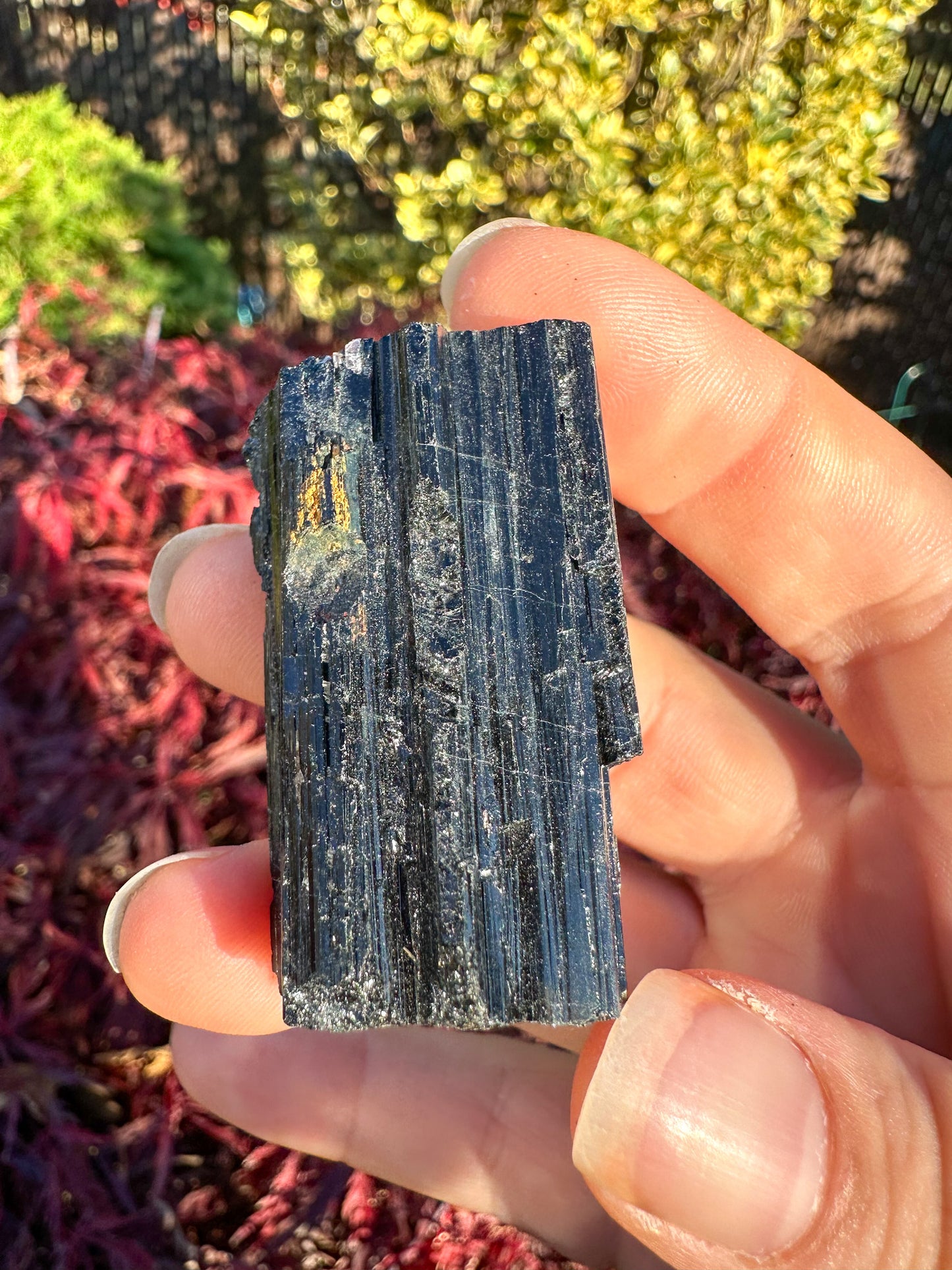 Stunning Raw Black Tourmaline (#1004)