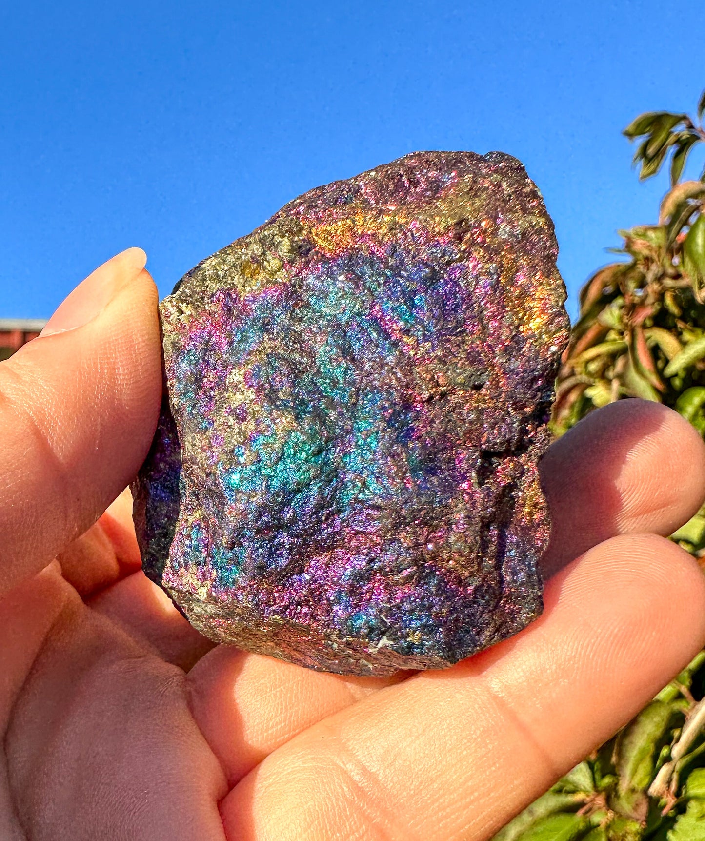 Colorful Rainbow Peacock Ore (#509)