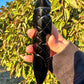 Black Obsidian Snake Dagger